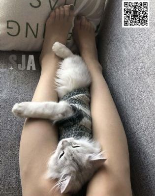 五十而已