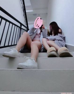 青春珊瑚岛在线观看