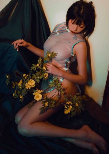 梦想成为魔法少女一共多少集