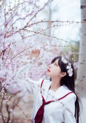 穿书自救指南第2季